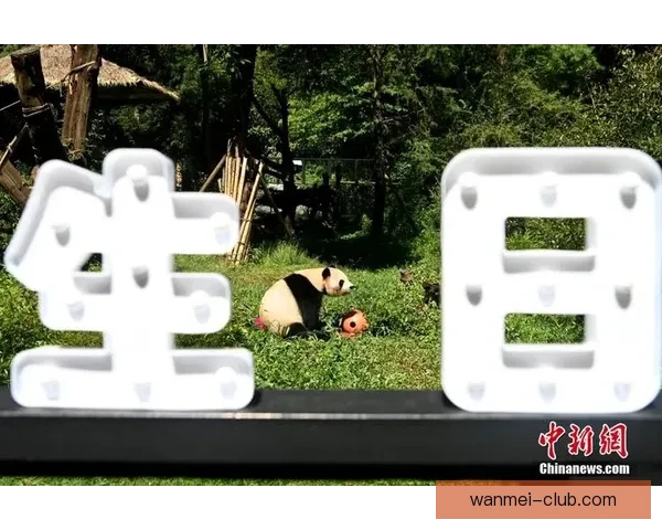 完美体育手机版全新升级体验打造沉浸式赛事互动娱乐平台