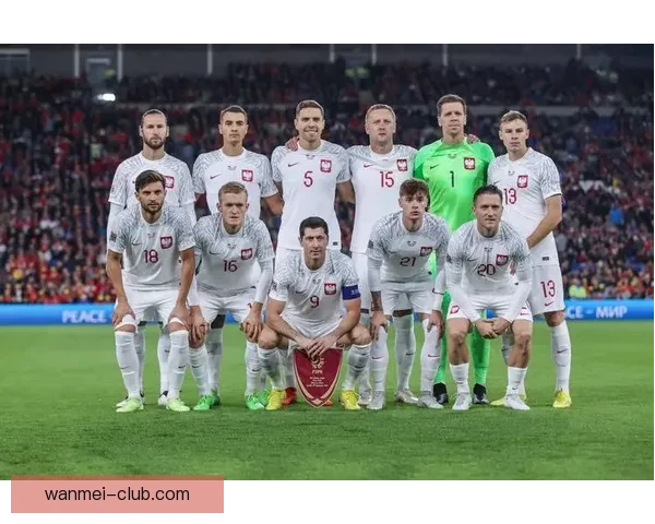 美洲三国联合举办世界杯完整赛程及精彩赛事全解析